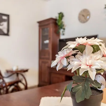 Gemuetliches Appartament アパート *